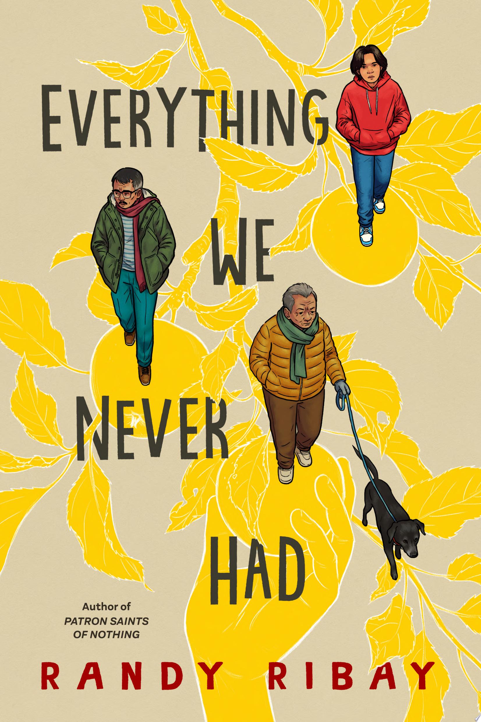 Image for "Everything We Never Had"