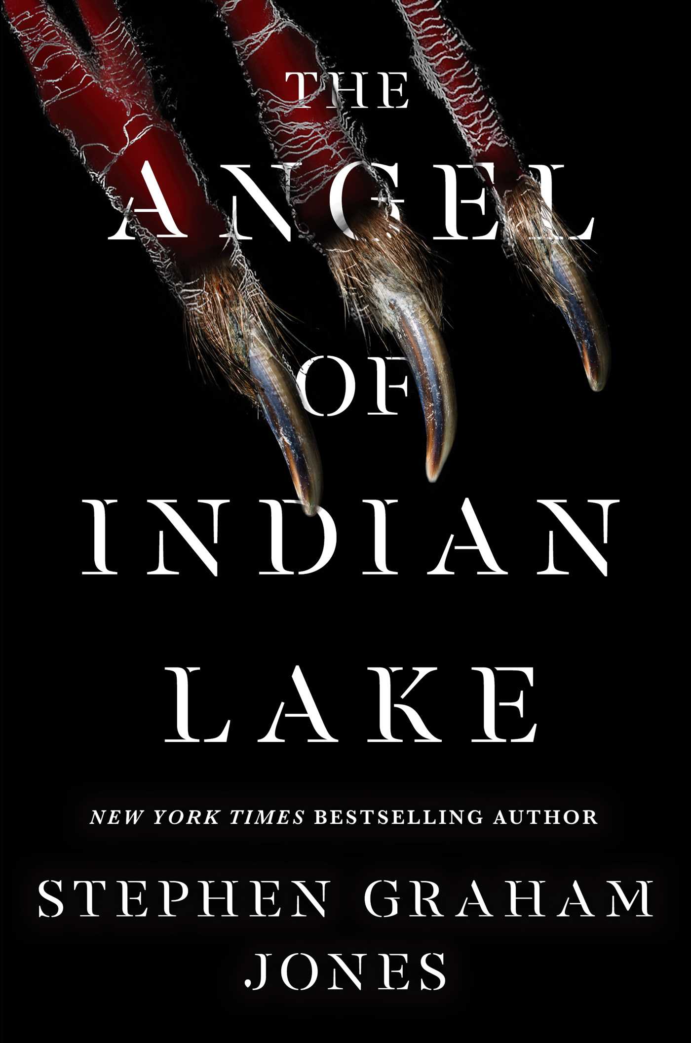 Image for "The Angel of Indian Lake"