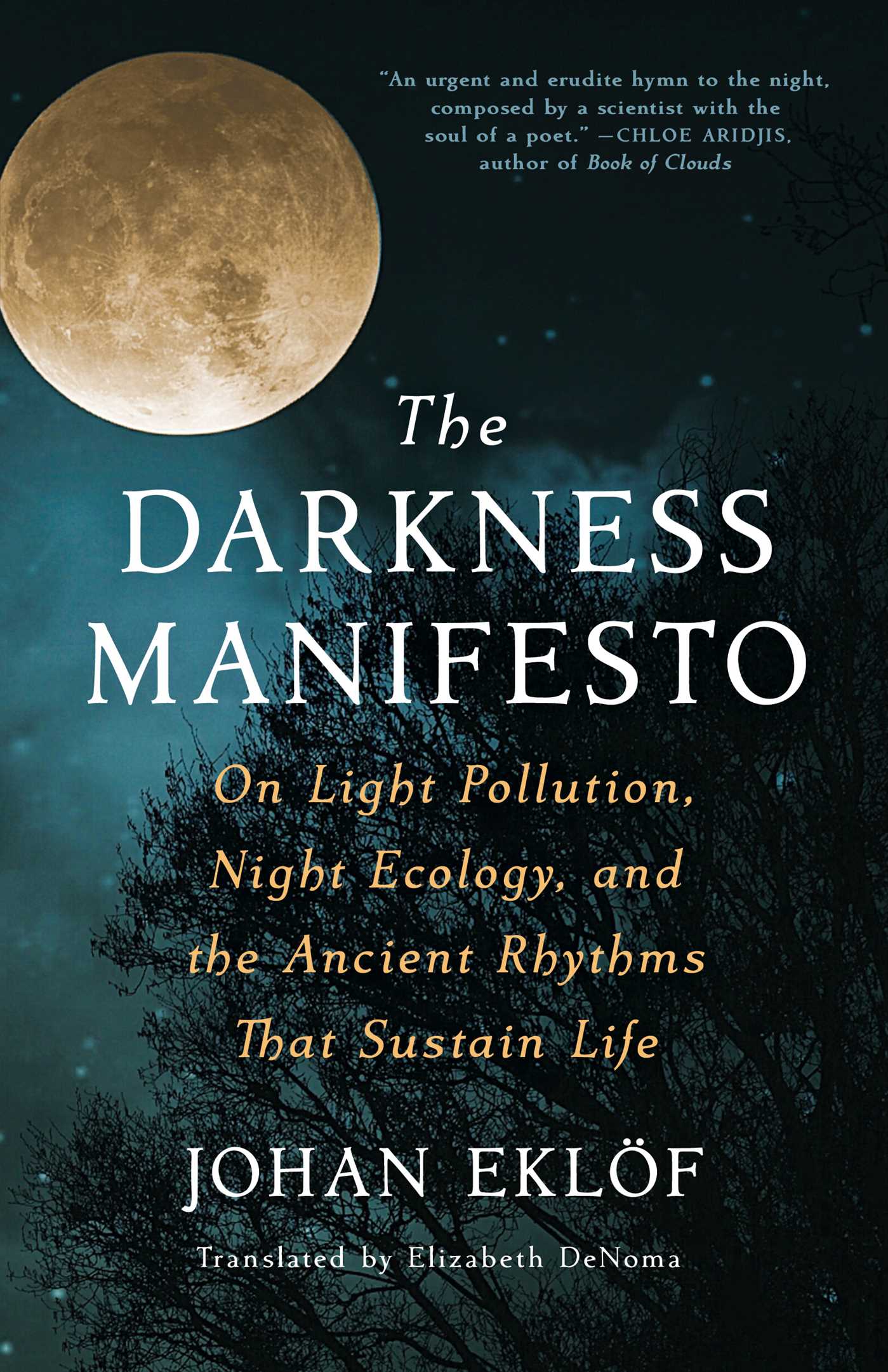 Image for "The Darkness Manifesto"
