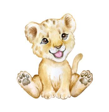 Lion Cub