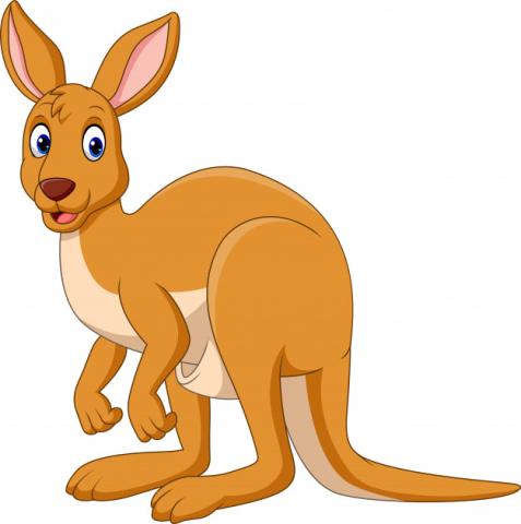 Cartoon of Kangaroo