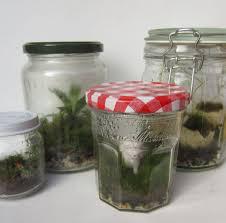 Glass jars with moss, soil and pebbles inside.