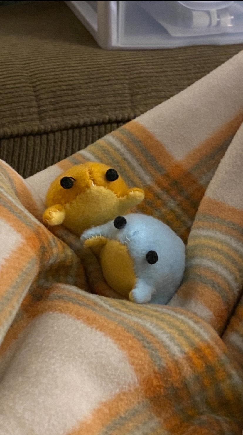 Two plush frogs (one yellow and one blue) looking up. 