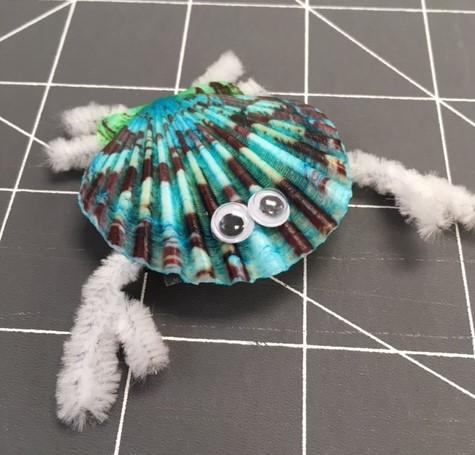 seashell with pipe cleaner legs and googley eyes 