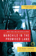 Manchild In a Promised Land book cover